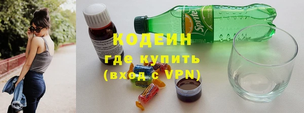 спиды Бородино