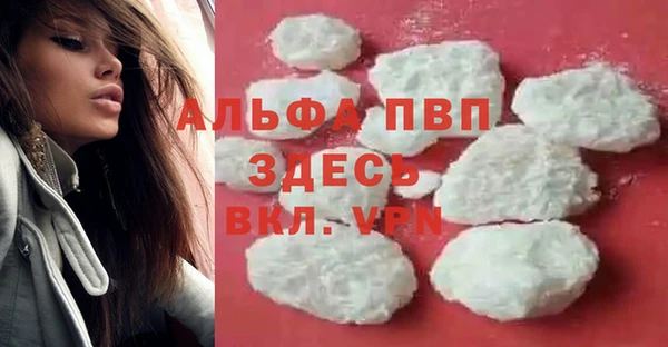 спиды Бородино