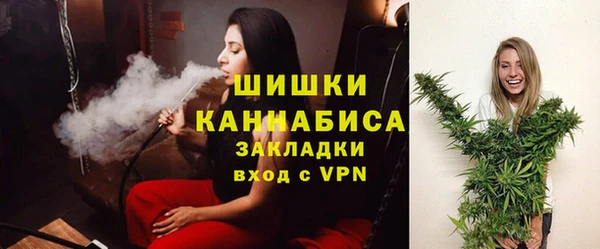 спиды Бородино