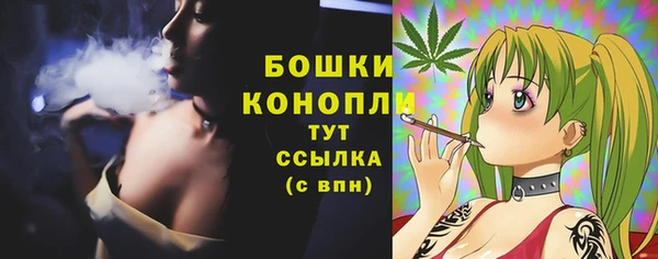 спиды Бородино