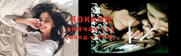 мдпв Бронницы