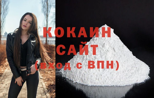 спиды Бородино
