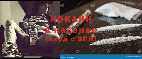 спиды Бородино