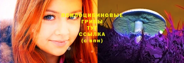 бутират Бугульма