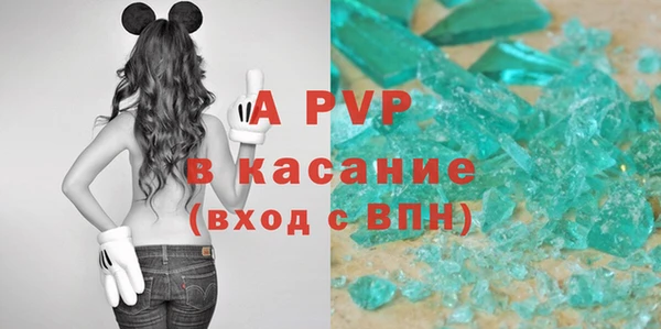 спиды Бородино