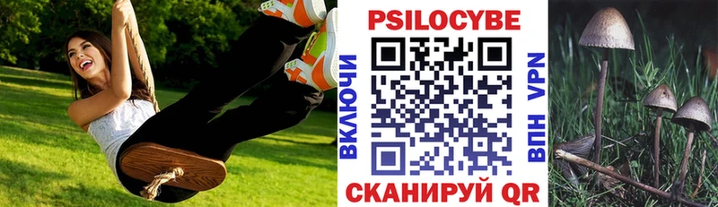 Галлюциногенные грибы Psilocybe  MEGA сайт  Кирово-Чепецк 